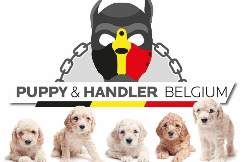 Puppy & Handler Belgium